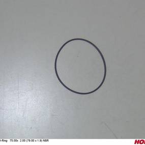 O-Ring   75.00X  2.00 (79.00 X (00381065) Horsch