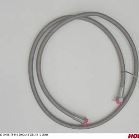 Hs Dn16 Tf116 Dkol18 Cel18  L (25980145) Horsch