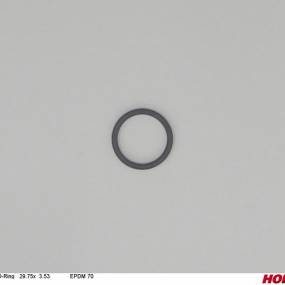 O-Ring   29.75X  3.53 (00260276) Horsch