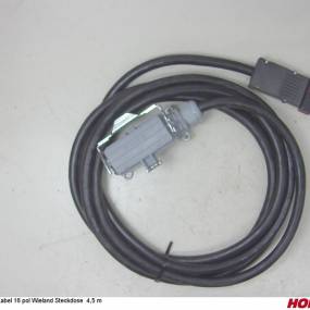 Kabel 16 Pol Wieland Steckdose (00345034) Horsch