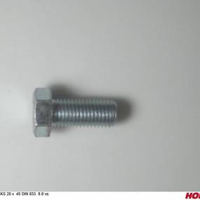 Sks 20 X  45  Din 933  8.8 (00370379) Horsch