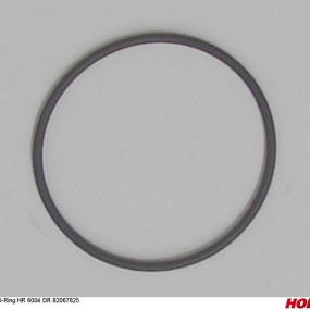 O-Ring Hr 6004 Dr 82067825 (00385918) Horsch