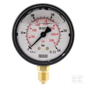 Manometer D63 0-250Bar +