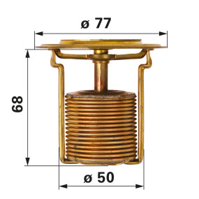 Thermostat mit Entlüftungskerb (00128132) Prillinger