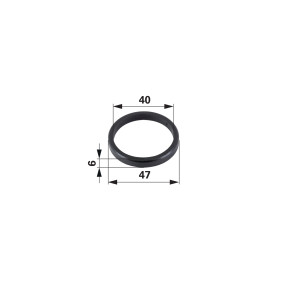 Dichtring für Hubwelle (00141800) Prillinger