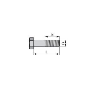 Abscherschraube M16X60 Güte 4. (00220802) Prillinger