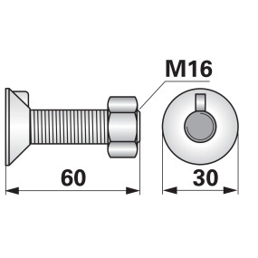 Pflugschraube 1 Nase M16X60 Gü (00228667) Prillinger