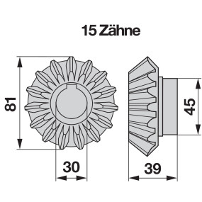 Kegelrad Z 15 Anstelle Von Fel (00417115) Prillinger