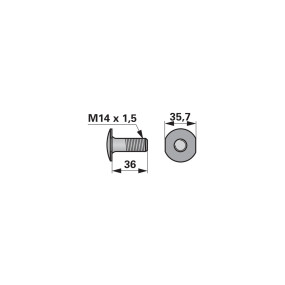 Flachrundschraube M14X1,5X36 (00419602) Prillinger