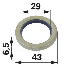 Dichtring Anstelle Von Tecumse (00428502) Prillinger