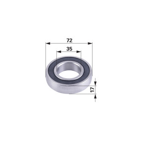 Laufrolle  Anstelle Von Gallig (00543875) Prillinger