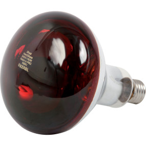 Infrarotlampe Hartglas Rot 150 (00713122) Prillinger