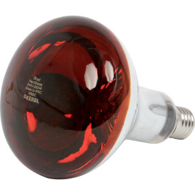 Infrarotlampe Hartglas Rot 250 (00713123) Prillinger